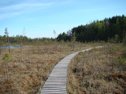 Varnikų pažintinis takas